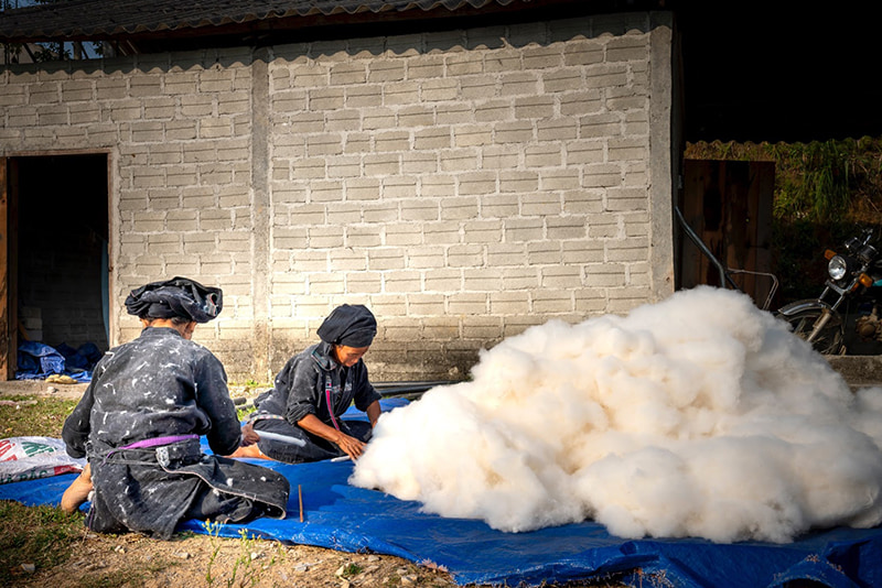 Femmes artisanes qui cultivent du coton 