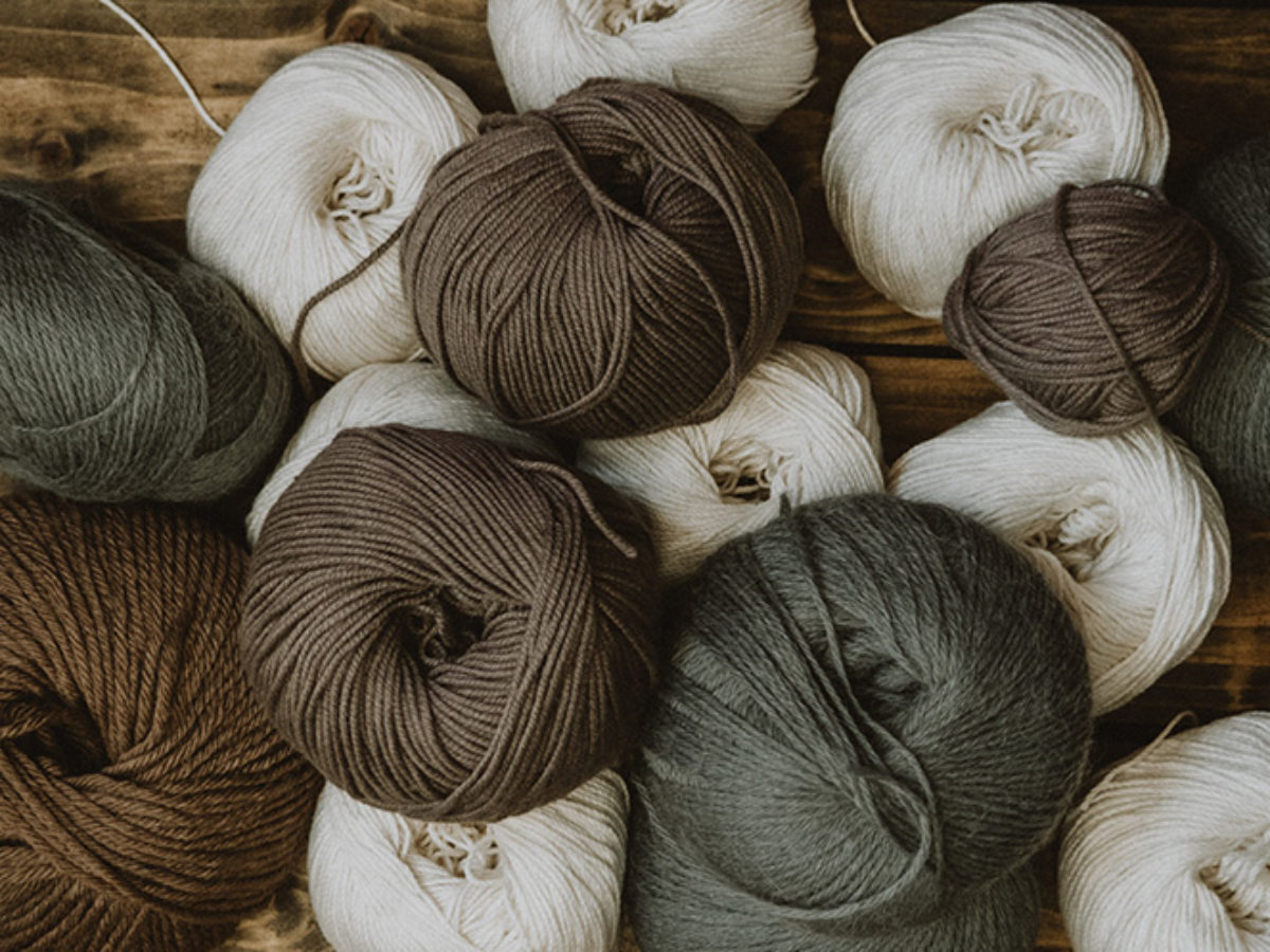 Wool, cashmere and angora: how to differentiate them? - Label AÉ