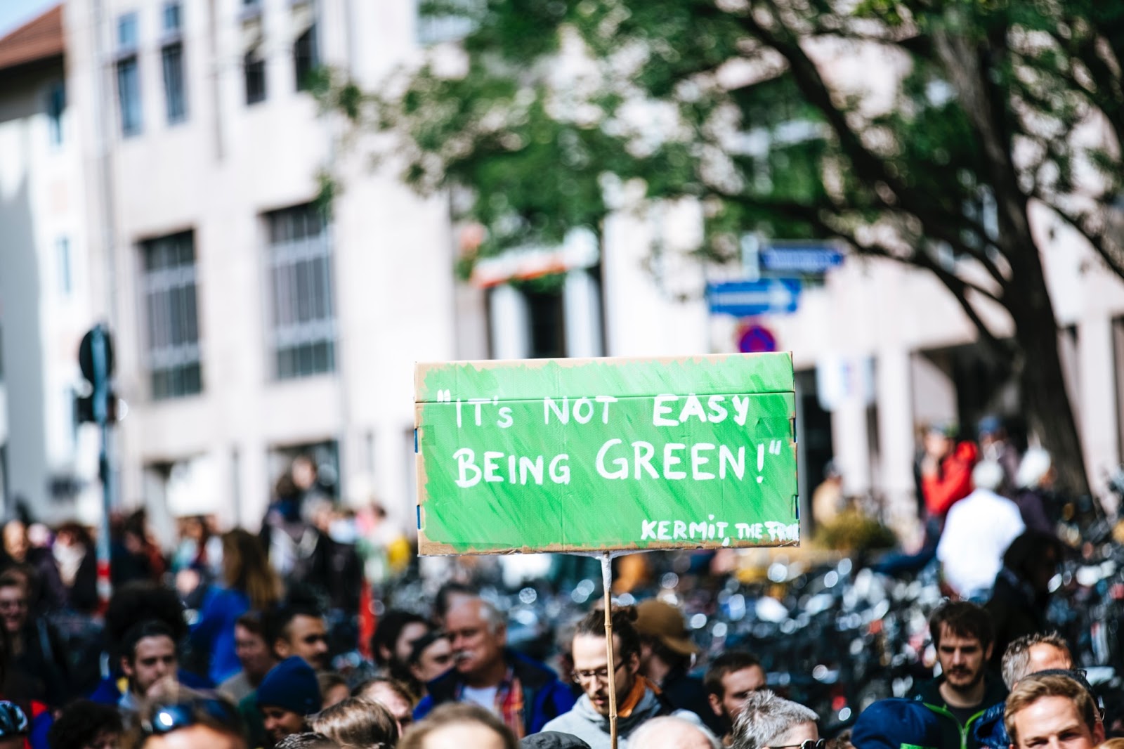 Pancarte « it’s not easy being green » pendant une manifestation